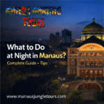 What to Do at Night in Manaus Complete Guide + Tips to Enjoy the City