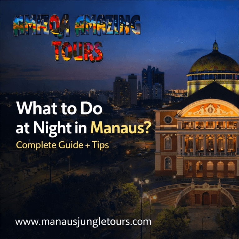 What to Do at Night in Manaus Complete Guide + Tips to Enjoy the City
