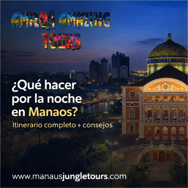 ¿Qué hacer por la noche en Manaos Itinerario completo + consejos para disfrutar la ciudad