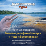 Частная экскурсия розовые дельфины Манауса и чудо «Встречи вод» - эксклюзивный опыт в самом сердце Амазонии