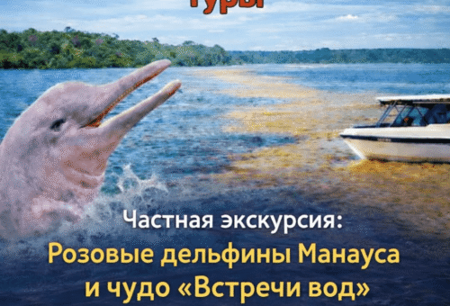 Частная экскурсия розовые дельфины Манауса и чудо «Встречи вод» - эксклюзивный опыт в самом сердце Амазонии