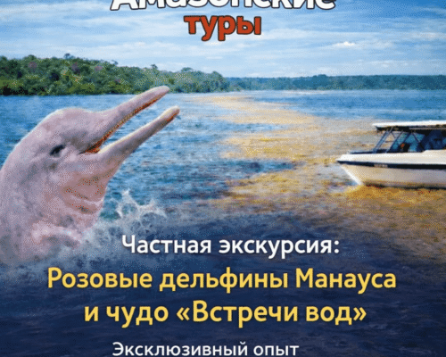 Частная экскурсия розовые дельфины Манауса и чудо «Встречи вод» - эксклюзивный опыт в самом сердце Амазонии
