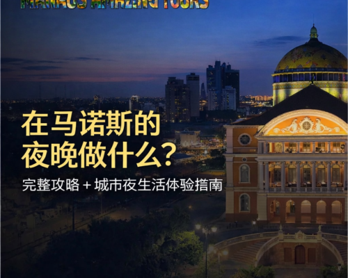 在马瑙斯的夜晚做什么？完整攻略 + 城市夜生活体验指南