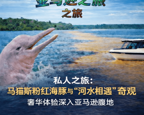 私人之旅：马瑙斯粉红海豚与“河水相遇”奇观——亚马逊心脏地带的独家体验