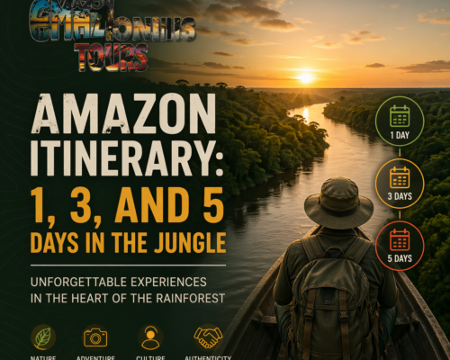 Amazon Itinerary 1, 3, and 5 Days in the Jungle - Unforgettable Experiences in the Heart of the Rainforest