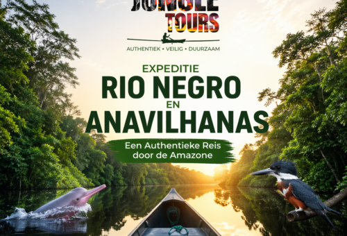 Expeditie Rio Negro en Anavilhanas Een Authentieke Reis door de Amazone met Manaus Jungle Tours