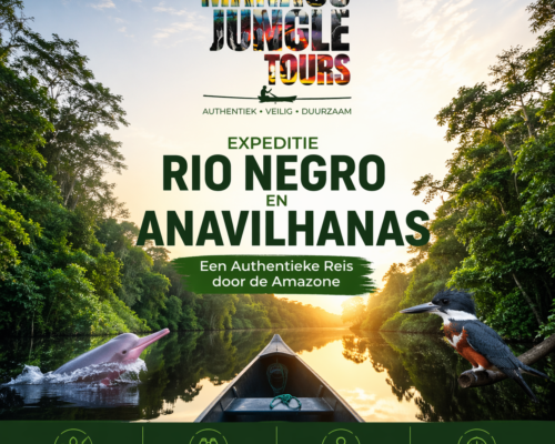 Expeditie Rio Negro en Anavilhanas Een Authentieke Reis door de Amazone met Manaus Jungle Tours