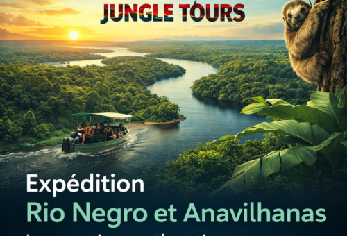 Expédition Rio Negro et Anavilhanas Une Immersion Authentique au Cœur de l’Amazonie avec Manaus Jungle Tours