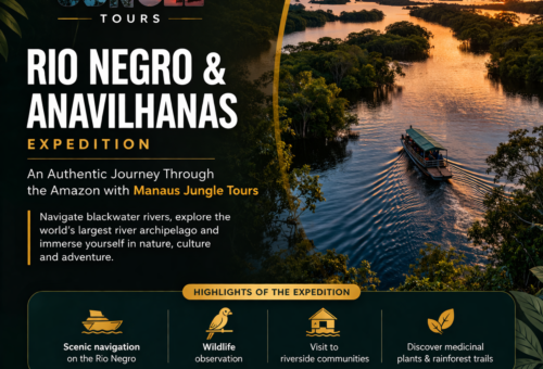 Rio Negro & Anavilhanas Expedition An Authentic Journey Through the Amazon with Manaus Jungle Tours