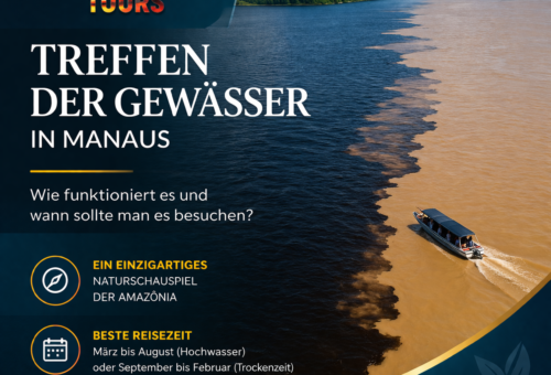 Treffen der Gewässer in Manaus Wie funktioniert es und wann sollte man es besuchen
