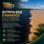 Встреча вод в Манаусе как это происходит и когда лучше ехать
