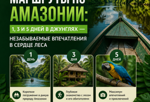 Маршруты по Амазонии 1, 3 и 5 дней в джунглях — незабываемые впечатления в сердце леса