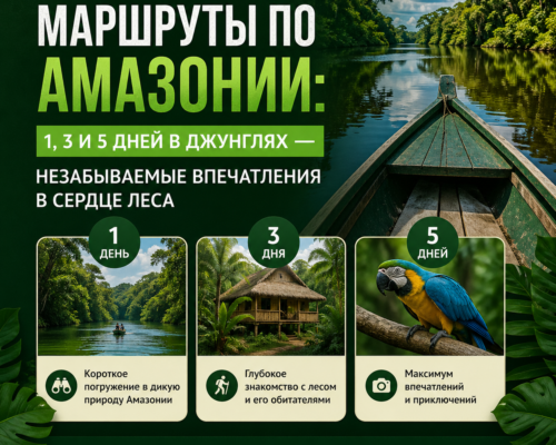Маршруты по Амазонии 1, 3 и 5 дней в джунглях — незабываемые впечатления в сердце леса
