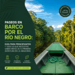 Paseos en Barco por el Río Negro Guía Para Principiantes y Todo lo Que Necesitas Saber Antes de Tu Primera Aventura en la Amazonía