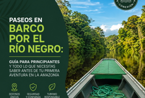 Paseos en Barco por el Río Negro Guía Para Principiantes y Todo lo Que Necesitas Saber Antes de Tu Primera Aventura en la Amazonía