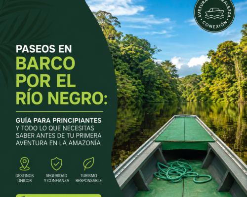 Paseos en Barco por el Río Negro Guía Para Principiantes y Todo lo Que Necesitas Saber Antes de Tu Primera Aventura en la Amazonía