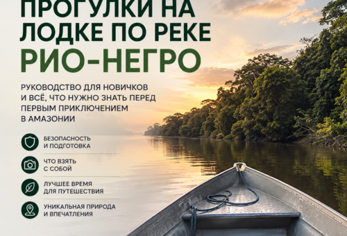 Прогулки на лодке по реке Рио-Негро руководство для новичков и всё, что нужно знать перед первым приключением в Амазонии