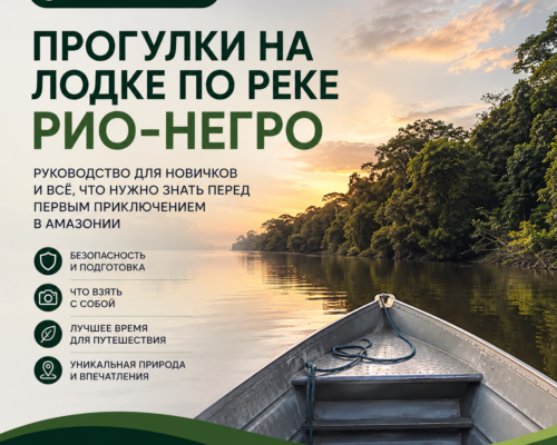 Прогулки на лодке по реке Рио-Негро руководство для новичков и всё, что нужно знать перед первым приключением в Амазонии