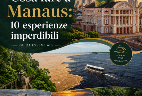Cosa fare a Manaus 10 esperienze imperdibili
