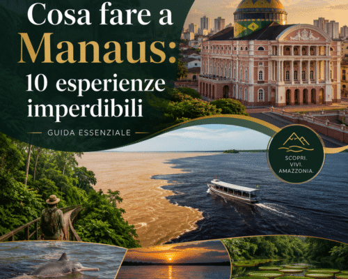 Cosa fare a Manaus 10 esperienze imperdibili