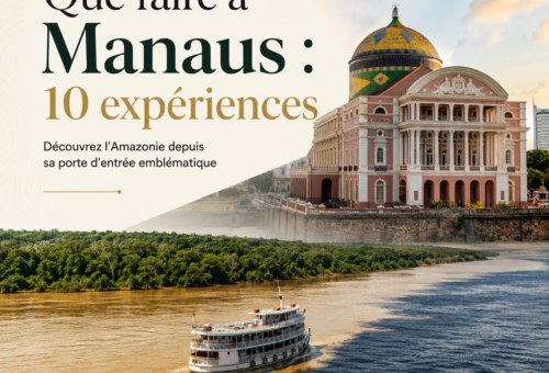 Que faire à Manaus 10 expériences