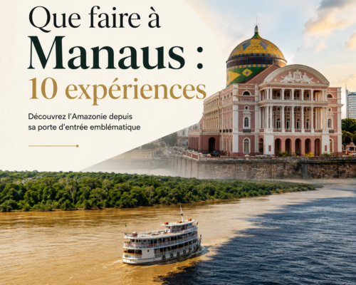 Que faire à Manaus 10 expériences