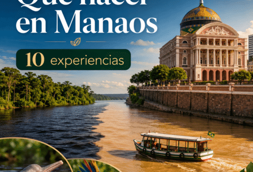 Qaué hacer en Manaos 10 experiencias