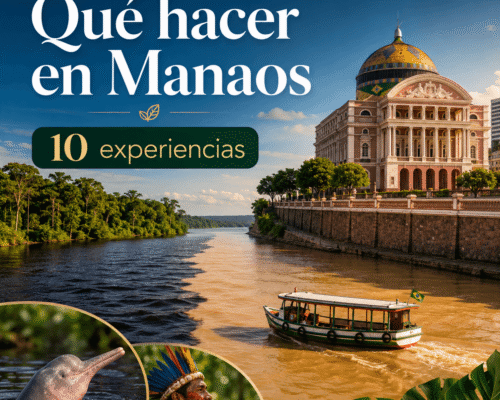 Qaué hacer en Manaos 10 experiencias