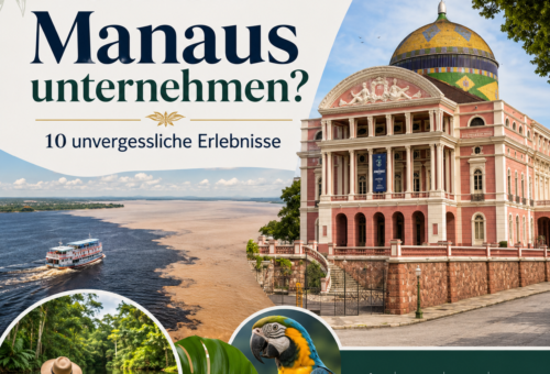 Was kann man in Manaus unternehmen 10 unvergessliche Erlebnisse