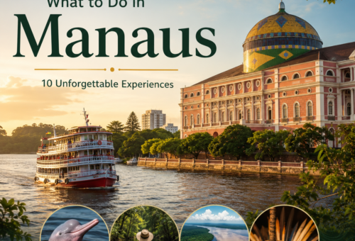 What to Do in Manaus 10 Unforgettable Experiences
