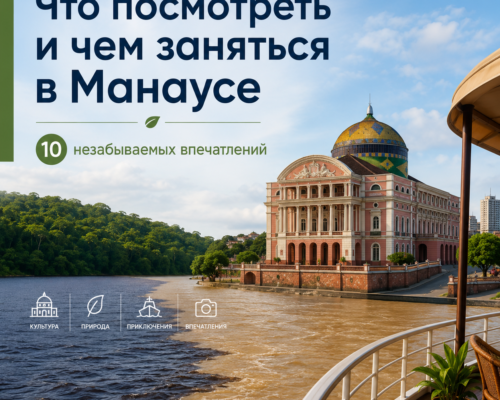 Что посмотреть и чем заняться в Манаусе 10 незабываемых впечатлений