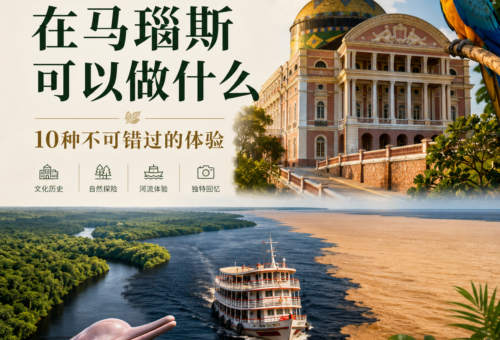 在马瑙斯可以做什么：10种不可错过的体验