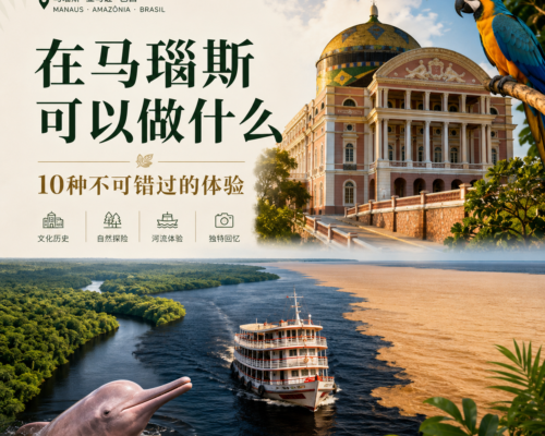 在马瑙斯可以做什么：10种不可错过的体验