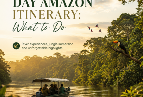 Day Amazon Itinerary What to Do