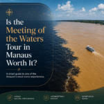 Is the Meeting of the Waters Tour in Manaus Worth It