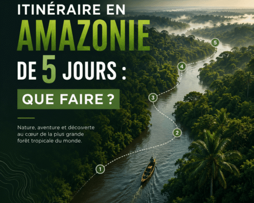 Itinéraire en Amazonie de 5 jours que faire