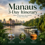 Manaus 3-Day Itinerary How to Experience the Amazon in Just Three Day