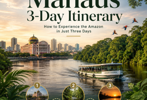 Manaus 3-Day Itinerary How to Experience the Amazon in Just Three Day