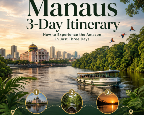 Manaus 3-Day Itinerary How to Experience the Amazon in Just Three Day