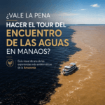 ¿Vale la pena hacer el tour del Encuentro de las Aguas en Manaos