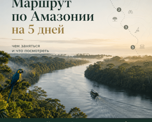 Маршрут по Амазонии на 5 дней чем заняться и что посмотреть