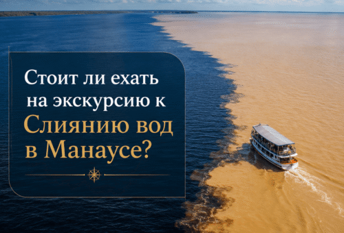 Стоит ли ехать на экскурсию к Слиянию вод в Манаусе