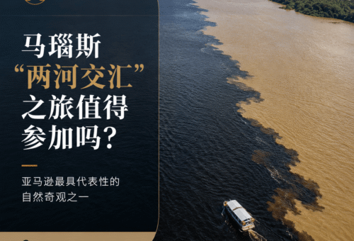 马瑙斯“两河交汇”之旅值得参加吗？