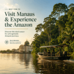 Best Time to Visit Manaus and Experience the Amazon