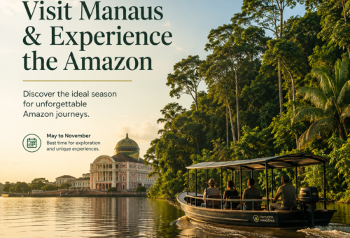 Best Time to Visit Manaus and Experience the Amazon