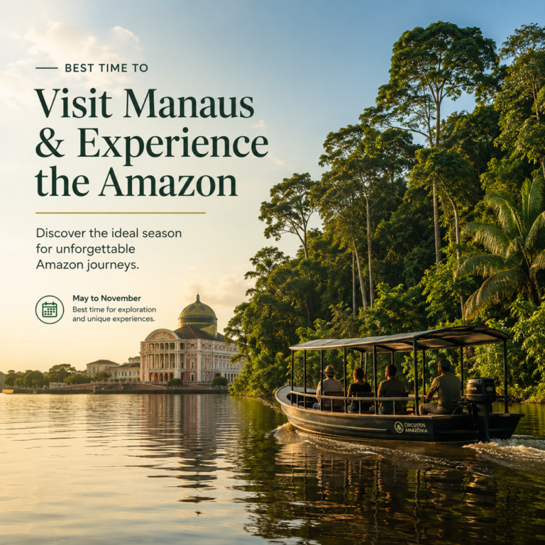 Best Time to Visit Manaus and Experience the Amazon