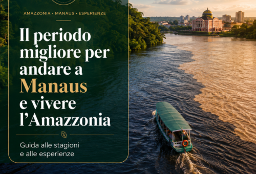 Il periodo migliore per andare a Manaus e vivere l’Amazzonia