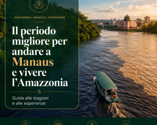 Il periodo migliore per andare a Manaus e vivere l’Amazzonia