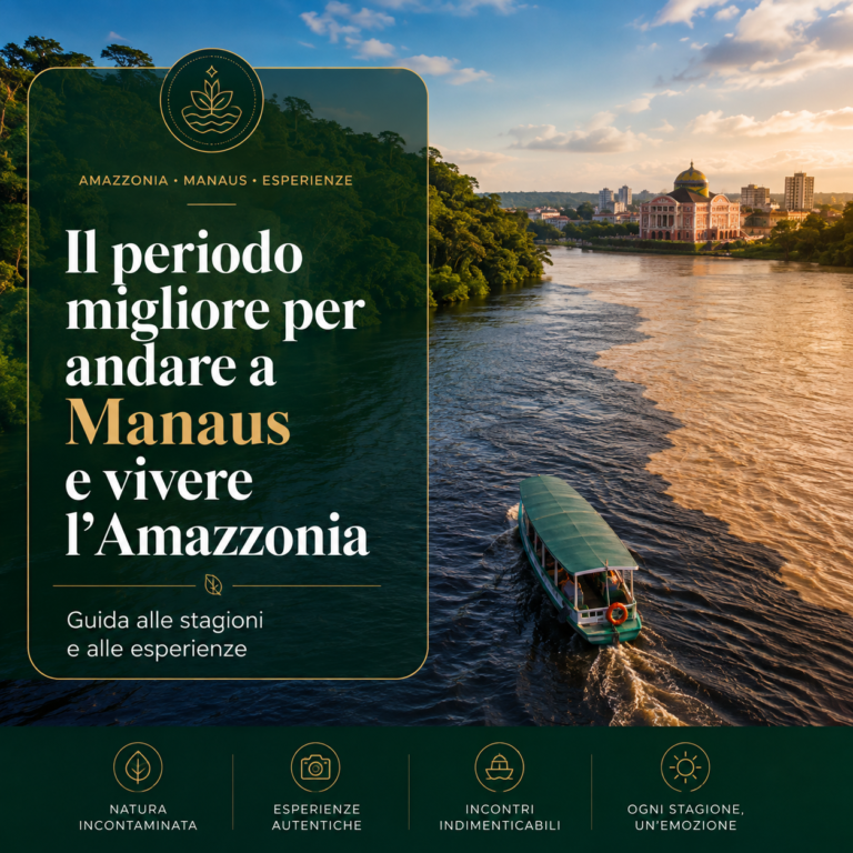 Il periodo migliore per andare a Manaus e vivere l’Amazzonia