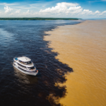 L’excursion à la Rencontre des Eaux à Manaus vaut-elle le détour